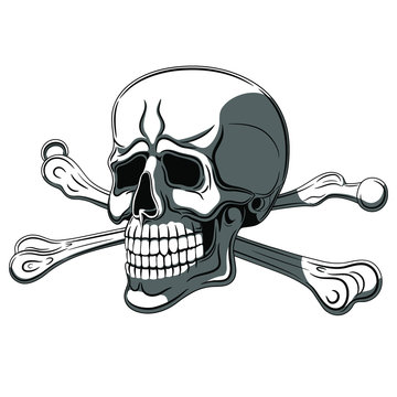 Vector illustraition of skull and crossbones.
