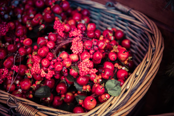 cranberries in basket