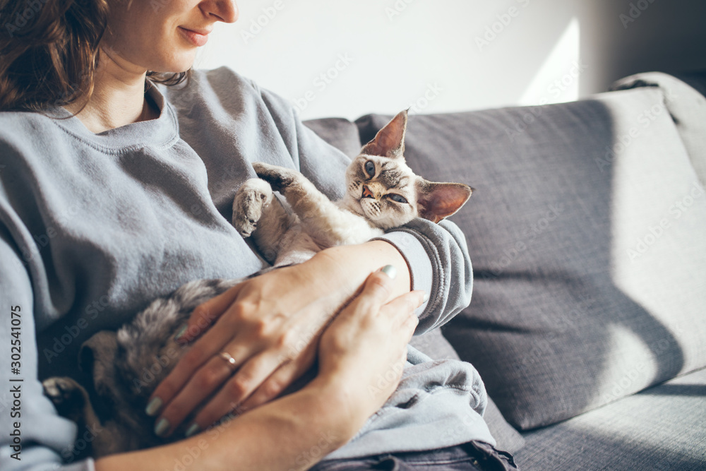 Wall mural Close up of a woman in casual clothes sitting on the sofa at home and holding cute sleepy Devon Rex kitten. Cat is feeling relaxed and happy with owner. Selective focus