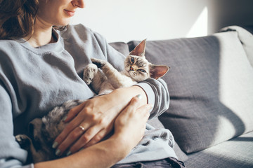 Close up of a woman in casual clothes sitting on the sofa at home and holding cute sleepy Devon Rex kitten. Cat is feeling relaxed and happy with owner. Selective focus