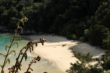 Strand im Abel Tasman Nationalpark Neuseeland