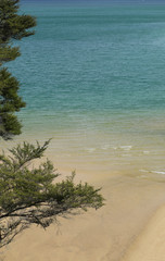 Strand im Abel Tasman Nationalpark Neuseeland