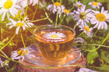 Therapeutic chamomile tea. Green tea. Cup of fragrant chamomile tea, in white chamomile flowers, in the rays of warm sunlight, close-up, wooden stand.