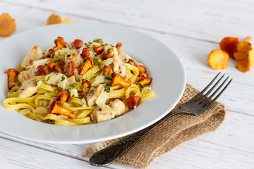 Tagliatelle with fried fresh chanterelles and chicken.