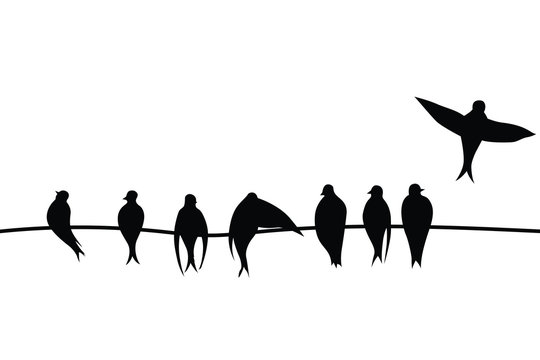 Birds on a wire vector illustration on white background