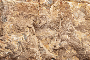 Abstract background texture of stone. Stone texture. Stones for the background. Limestone texture for background. Close-up for text.