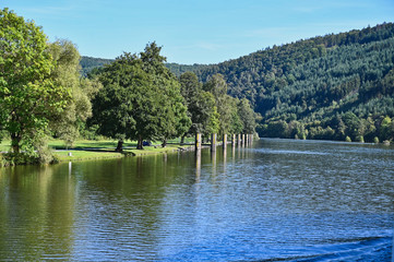 Park Trees and Piers in a Row Along the Danube River in Germany