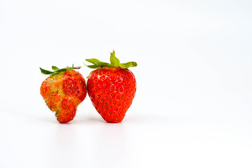 Two strawberries side by side. One is malformed fruit compared with the expected shape on the right. Isolated against plain white background. Space for copy right.