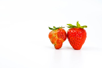 Close up of two strawberries side by side. One is malformed fruit compared with the expected shape on the right. Both are isloated against a plain white background. Space for copy on the left.