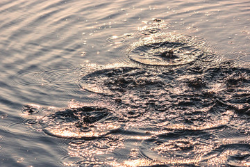 Water ripple from droping stone on surface in high speed motion, clean and calm sparkle wave