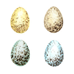 Watercolor hand drawn Easter eggs set. Colorful collection of different wild birds eggs isolated on a white background. Chickens egg shell Symbols of Easter celebration. Illustration Design concept