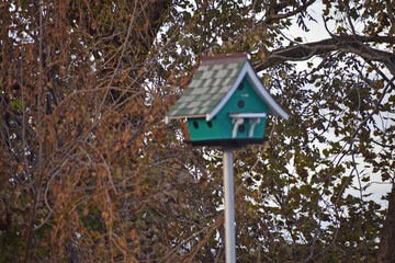 Birdhouse