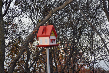 Birdhouse