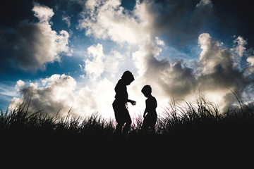 silhouette of a girl with flowers in background