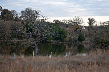 Pond on a Ranch with Reflections