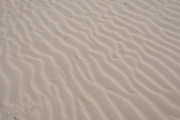 Wellen im Sand