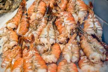 fresh shrimps on ice