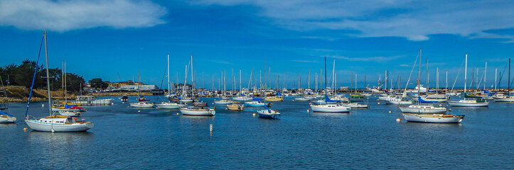 Obraz premium Marina , Monterey peninsula