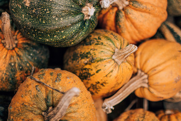  ripe pumpkin at the food market, autumn fruits, orange color