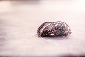 Faceted smoked quartz. Precious stone with mystical property.