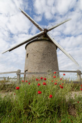 the windmill at the top of the hill