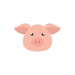 Isolated pig icon flat design