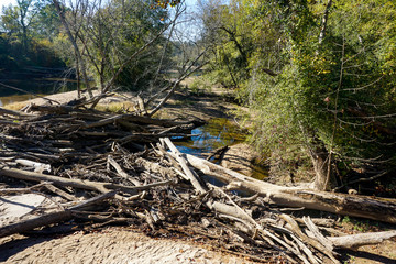 Drought exposes a stream bottom and a pile of driftwood