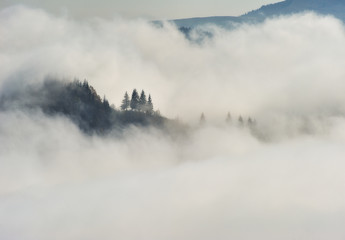 autumn morning. Picturesque foggy sunrise in the Carpathian mountains