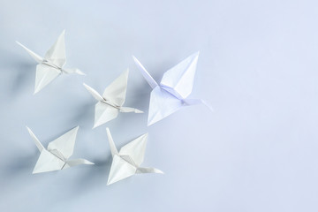 Origami cranes on light background