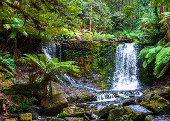 Waterfall in Tasmanian Rain Forest