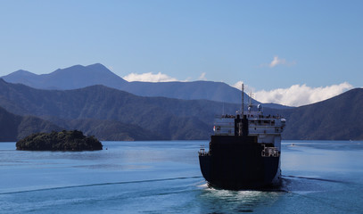 Big ship sailing on a river passing next to a small island