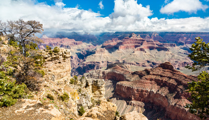 Grand Canyon as seen from Mather Point