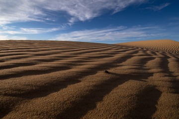sand dunes in the desert