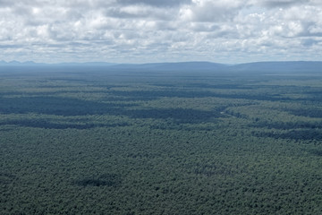 Vue aérienne sur la forêt amazonienne en Guyane française