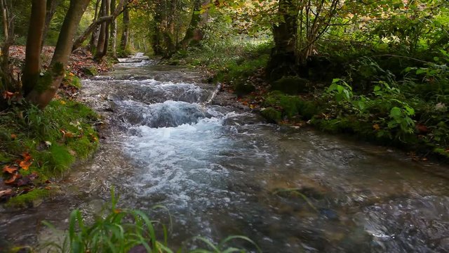 mountain stream in autumn forest woods at Urach schw&auml;bische alb germany