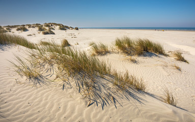 The beach of Schiermonnikoog, West Frisian Islands, Northern Netherlands