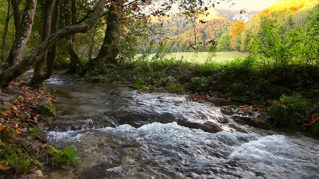 tranquil stream in autumn forest at urach schwäbische alb germany