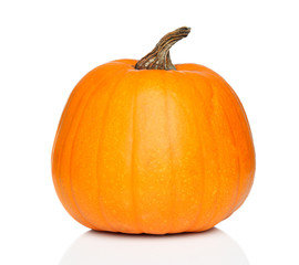 Pumpkin Close-up juicy, ripe