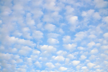cloudscape with altocumulus clouds at sunny day