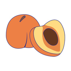 peach fruit icon, colorful design