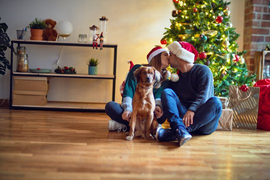 Young beautiful couple smiling happy and confident.. Sitting on the floor wearing santa claus hat hugging dog around christmas tree at home