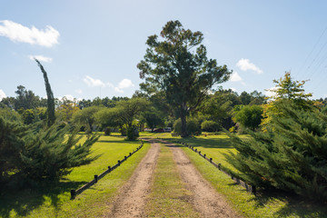 Fototapeta premium Beautiful view of the entrance road of a estancia, typical rural lodging, surrounded by nature in a sunny day. Very peaceful environment in the countryside. Colon, Entre Rios, Argentina