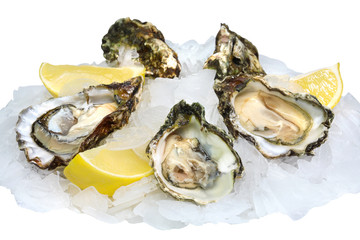 Fresh opened oysters with lemon on crushed ice