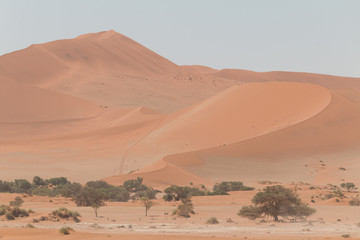 Fototapeta na wymiar Sand dunes in Sossusvlei, Namib Desert, Namibia, Africa