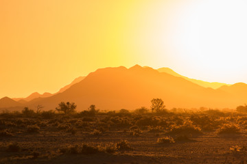 Fototapeta na wymiar Sunset at the Namib desert plains, Namibia, Africa