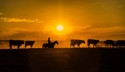 Fototapeta na wymiar Silueta en el horizonte de un gaucho con su ganado