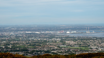 Stunning view of Dublin city and port from Ticknock, 3rock, Wicklow mountains. Yellow and green plants in foreground