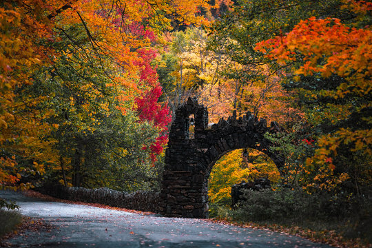 Fall Foliage In New Hampshire