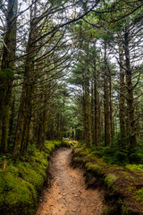 Fototapeta premium Great Smoky Mountains National Park