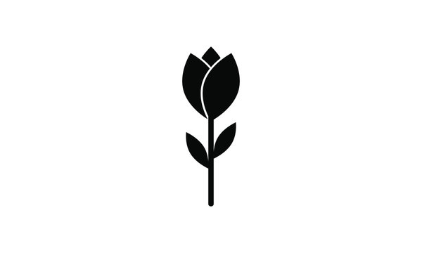 Rose, Tulip Icon Vector 